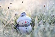 snowman_ga9dc63189_1920.jpg