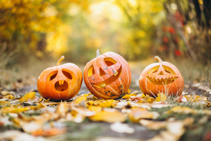 gadgemayur_pumpkin_6720424_1920.jpg gadgemayur_pumpkin_6720424_1920.jpg